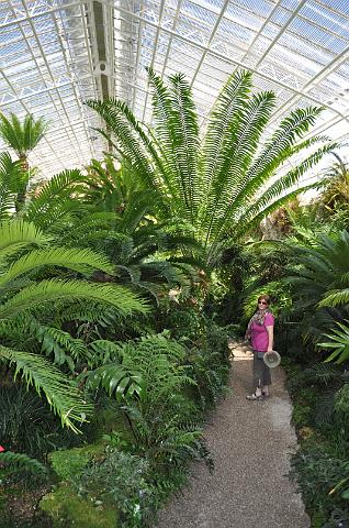 Muenchen 2011 515.jpg - München Botanischer Garten